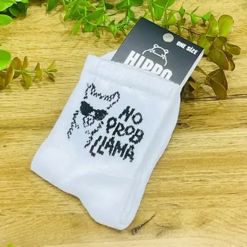 Kreativ Corab- No Prob LLama