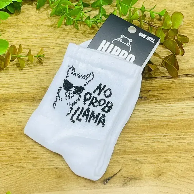 Kreativ Corab- No Prob LLama