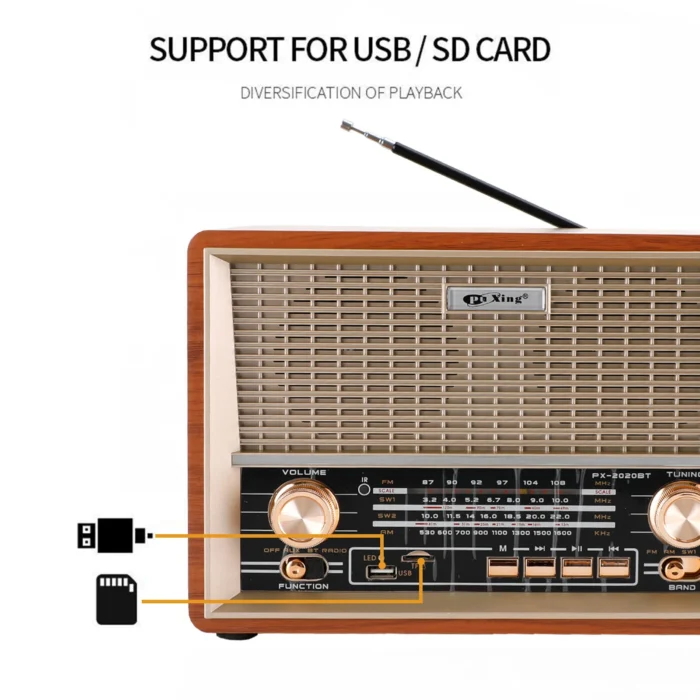 retro radiolar