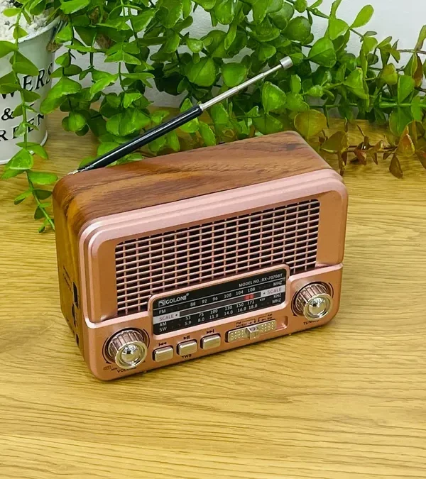 Golon Vintage Radio Mini Model Çəhrayı - Grido hədiyyə mağazası