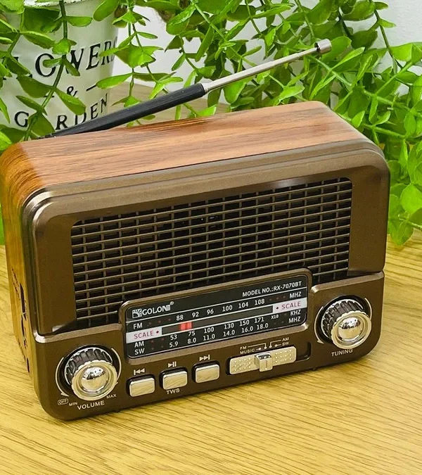 Golon Vintage Radio Mini Model Qəhvəyi - Grido hədiyyə mağazası
