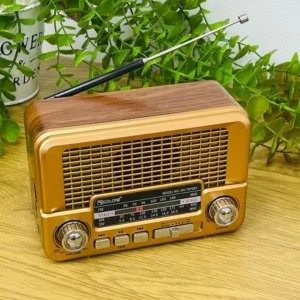 Golon Vintage Radio Mini Model Qızılı - Grido hədiyyə mağazası