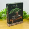 Konstruksiya Bonsai – Bonsai Ağac Konstruksiya - Grido hədiyyə mağazası