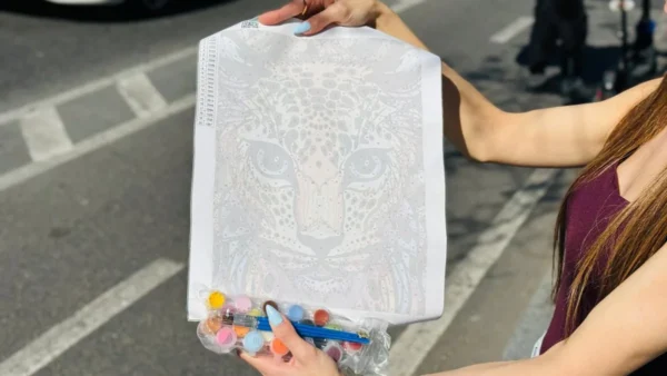 Rəqəmlərlə Boyama Dəsti – Leopar - Grido hədiyyə mağazası