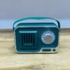 Retro Görünüşlü Yaşıl FM Radiolu Bluetooth Səsucaldıcı - Grido hədiyyə mağazası