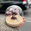 Sakura İşıqlı Kolba Suvenir – 10 sm - Grido hədiyyə mağazası