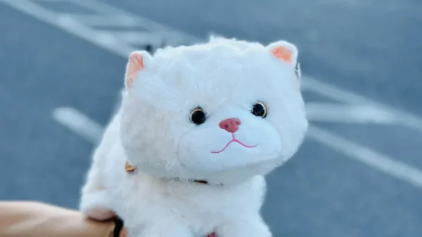 35 Sm Yumşaq Oyuncaq Pişik – Şirin Plush Oyuncaq - Grido hədiyyə mağazası