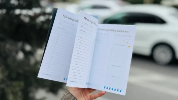 Əkizlər – Gündəlik Planner - Grido hədiyyə mağazası