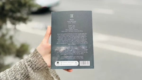 Əkizlər – Gündəlik Planner - Grido hədiyyə mağazası