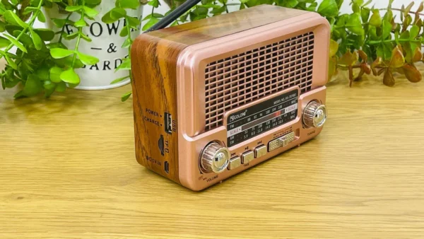 Golon Vintage Radio Mini Model Çəhrayı - Grido hədiyyə mağazası