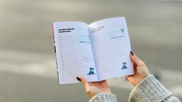 Gündəlik Planner – Stitch Dizayn (Sevimli, Cartoon) - Grido hədiyyə mağazası