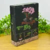 Konstruksiya Bonsai – Bonsai Ağac Konstruksiya Konstruksiya Bonsai – Bonsai Ağac Konstruksiya - Grido hədiyyə mağazası