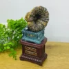 Retro Qramofon Dizaynlı Suvenir Kassalı Dekor (28 × 12 sm) - Grido hədiyyə mağazası