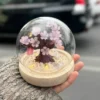 Sakura İşıqlı Kolba Suvenir – 10 sm - Grido hədiyyə mağazası
