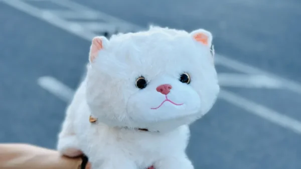 35 Sm Yumşaq Oyuncaq Pişik – Şirin Plush Oyuncaq - Grido hədiyyə mağazası