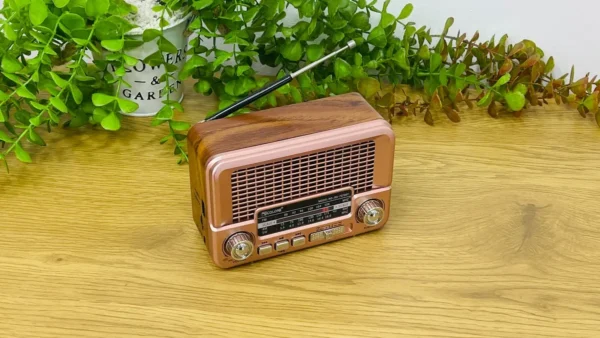 Golon Vintage Radio Mini Model Çəhrayı - Grido hədiyyə mağazası