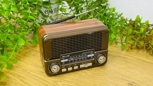 Golon Vintage Radio Mini Model Qəhvəyi - Grido hədiyyə mağazası