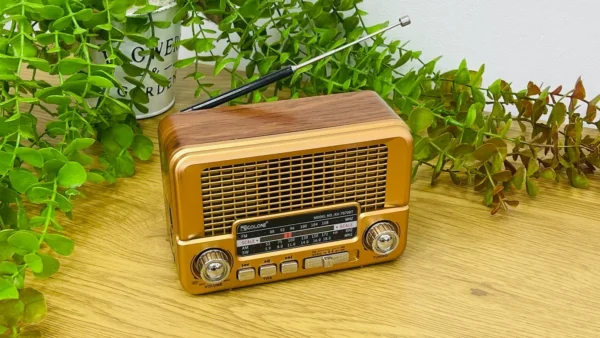 Golon Vintage Radio Mini Model Qızılı - Grido hədiyyə mağazası